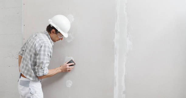 Professional Dry wall and painting in Alum Rock, CA